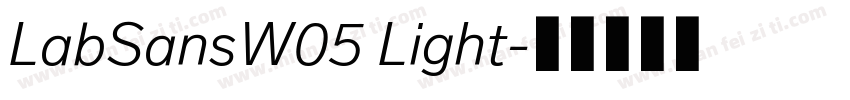 LabSansW05 Light字体转换
